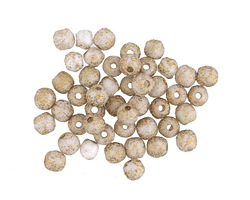 Czech Glass Etched White w/ Gold Round Druk 4mm