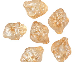 Czech Glass Champagne w/ Pearl Luster Murex Shell 15x12mm