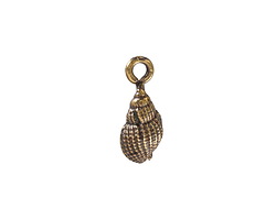 Mykonos Antique Brass (plated) Conch Shell Focal 7x18mm