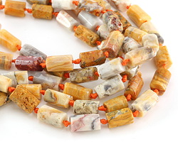 Crazy Lace Agate Natural Cut Tube 12-15x7-9mm