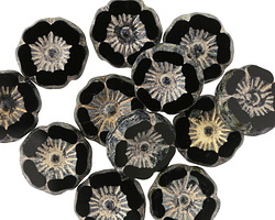 Czech Glass Jet Picasso w/ Gold Hibiscus Coin 12mm