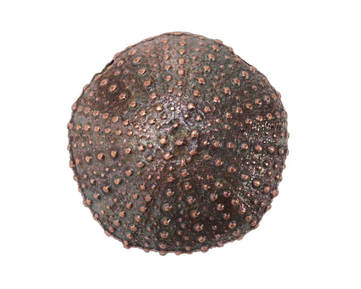 Mykonos Antique Copper (plated) Sea Urchin Focal 36mm