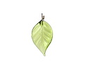 Czech Glass Peridot Twisted Leaf Drop 11x22mm