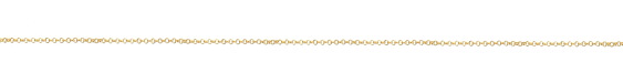 Hamilton Gold (plated) Tiny Double Rollo Chain