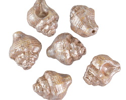 Czech Glass Bisque w/ Platinum Murex Shell 15x12mm