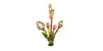 18k Gold (plated) Enamel & Crystal Tulip Blooms 13.5x18mm
