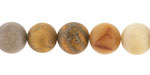 Indonesian Fossil Coral (Matte) Round 10mm