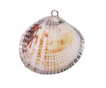 Arca Shell Pendant w/ Silver Finish 34x32-34mm