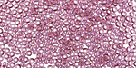 TOHO Gold Lustered Light Amethyst Round 11/0 Seed Bead