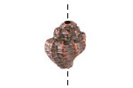 Mykonos Antique Copper (plated) Murex Shell Focal Bead 16x19mm