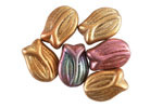 Czech Glass Matte Autumn Metallics Tulip 16x12mm