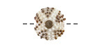 Grace Lampwork Ivory Sea Urchin Lentil 15mm
