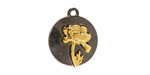 Poppy Two-Toned Gunmetal & Gold Finish Round Focal 17.5x20.5mm