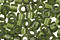 TOHO Transparent Olivine Treasure #1 Seed Bead