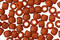 TOHO Semi-Glazed Orange Round 8/0 Seed Bead
