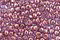 TOHO Gold Lustered Lilac Round 11/0 Seed Bead