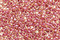 TOHO Light Topaz (with Pink Lining) Round 15/0 Seed Bead