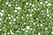 TOHO Semi-Glazed Clover Round 11/0 Seed Bead