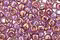 TOHO Gold Lustered Light Amethyst Round 8/0 Seed Bead