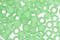 TOHO Ceylon Frosted Celery Round 8/0 Seed Bead