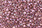 TOHO Crystal (with Rose Gold Lining) Round 15/0 Seed Bead