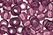 TOHO Transparent Medium Amethyst Round 11/0 Seed Bead